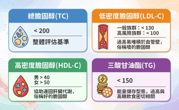 血脂數值解析