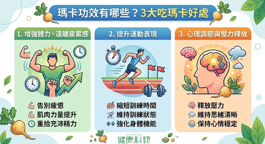 瑪卡功效有哪些?3大吃瑪卡好處