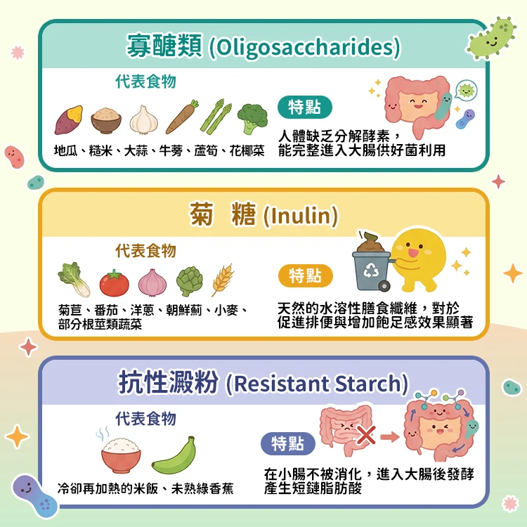 生活中的益生元食物